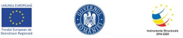 Consolidarea poziţiei pe piaţă a ERKO SPEED TRANS SRL prin investiţii durabile